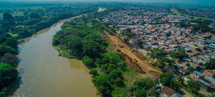 La estructura del Jarillón del Río Cauca debe permanecer compacta y libre: Dagma