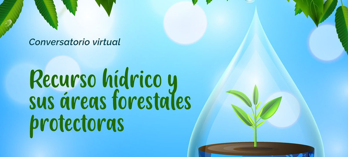 Conversatorio Virtual ‘Recurso Hídrico y sus Áreas Forestales Protectoras’ de nuestra casa común