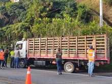 Control a movilización y comercialización de productos forestales maderables y no maderables