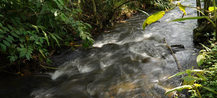 Parque Ambiental Corazón de Pance, respetará la dinámica natural del río