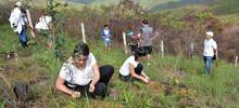 Plan Ave fénix sembrará otros 200 árboles en el Parque Natural Bataclán 