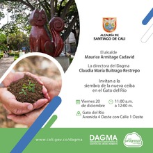 Este viernes 20 de diciembre, alcalde Armitage sembrará la nueva ceiba en El Gato del Río 