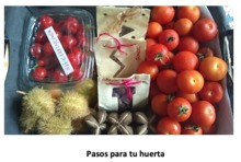 Huerta en casa, una alternativa de agricultura Urbana