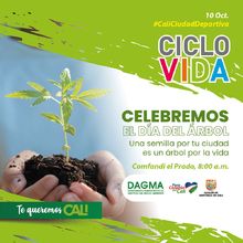 Cali conmemora el Día Internacional del Árbol con educación ambiental y deporte