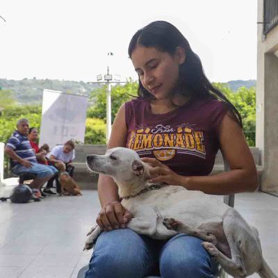 Familias respondieron a la jornada de adopción del Centro de Bienestar Animal de Cali