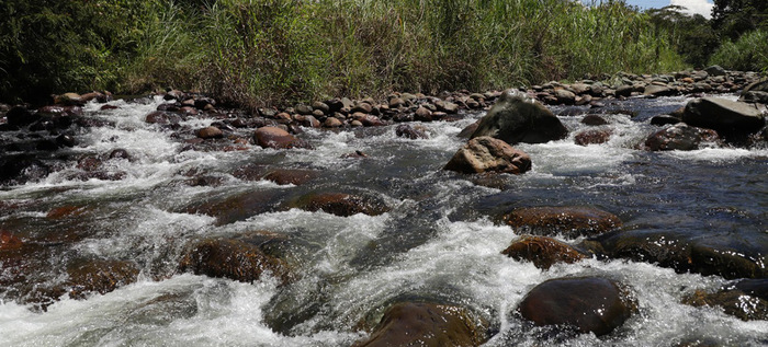 El río Pance y su parque ambiental, grandes aportantes hídricos