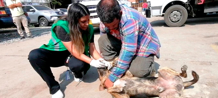 Dagma y Policía ambiental verifican acatamiento de mandatos de protección animal