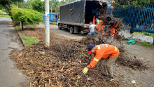 Fundaciones forestales retiraron 80 toneladas de residuos vegetales de corredores viales 