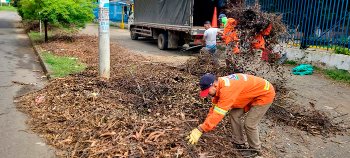 Fundaciones forestales retiraron 80 toneladas de residuos vegetales de corredores viales
