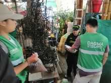 Dagma inicia operativos contra el tráfico de fauna y flora silvestre