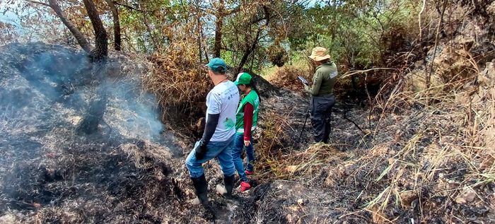 Trabajo en equipo permitió controlar incendio forestal en la zona de Pance