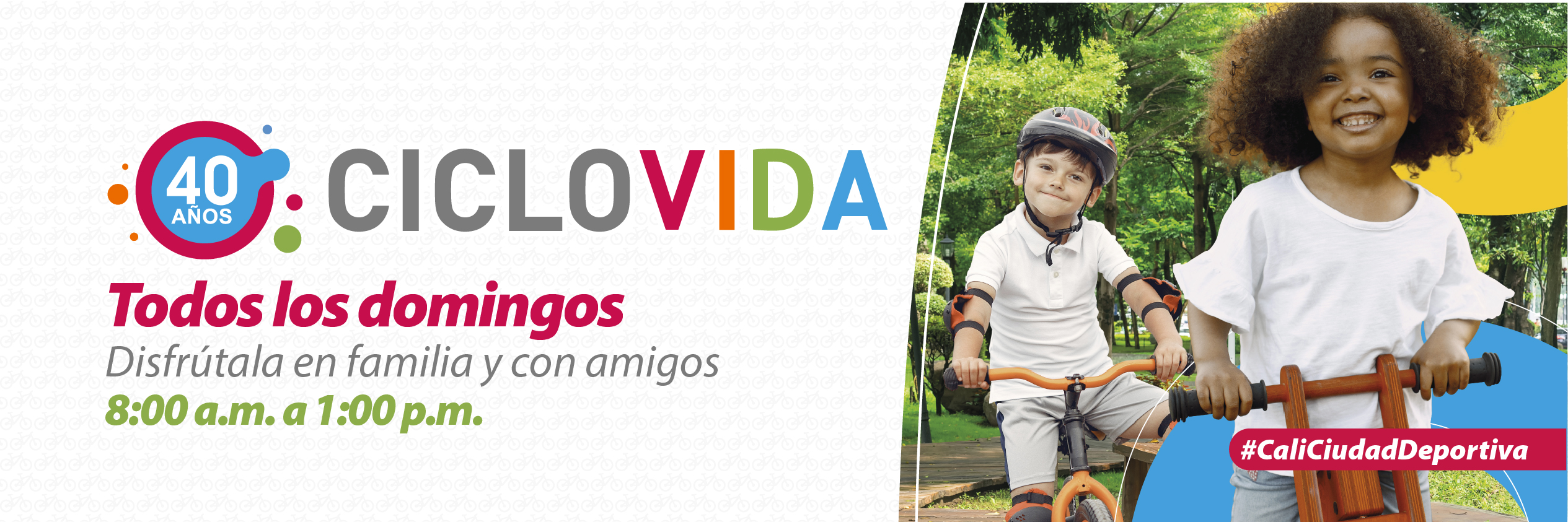 Banner web Ciclovida