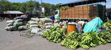 Cavasa garantiza 4.257 toneladas de alimentos para los caleños