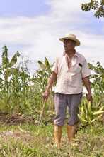 Alimentos orgánicos, la apuesta de los agricultores de ‘La Gloria’ en el mercado campesino 