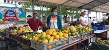 Mercado Campesino: Encuentro de la ruralidad y la ciudad, una historia que debemos repetir