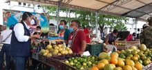 Mercado Campesino: Encuentro de la ruralidad y la ciudad, una historia que debemos repetir