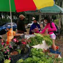 El sábado regresan los ‘mercados campesinos’ en siete puntos de Cali