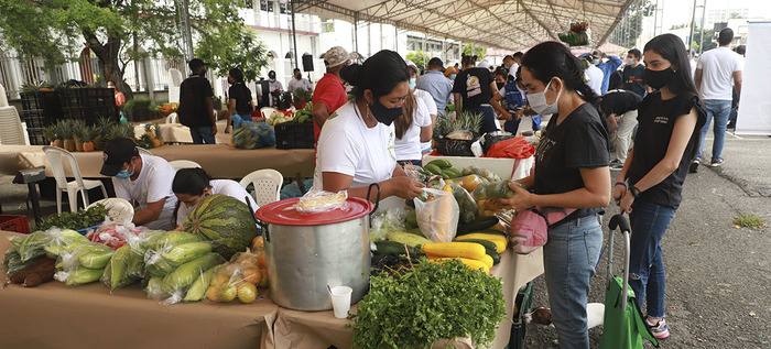 Más de 300 productores agrícolas participarán en la Agroferia y Gran Mercado Campesino del Valle