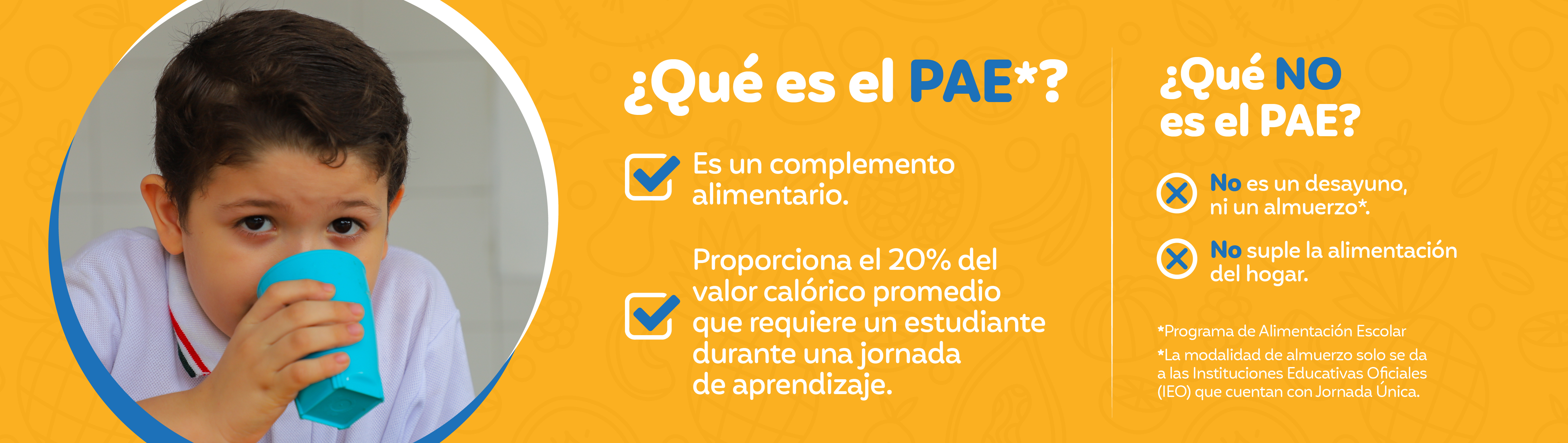 ¿Qué es el PAE?