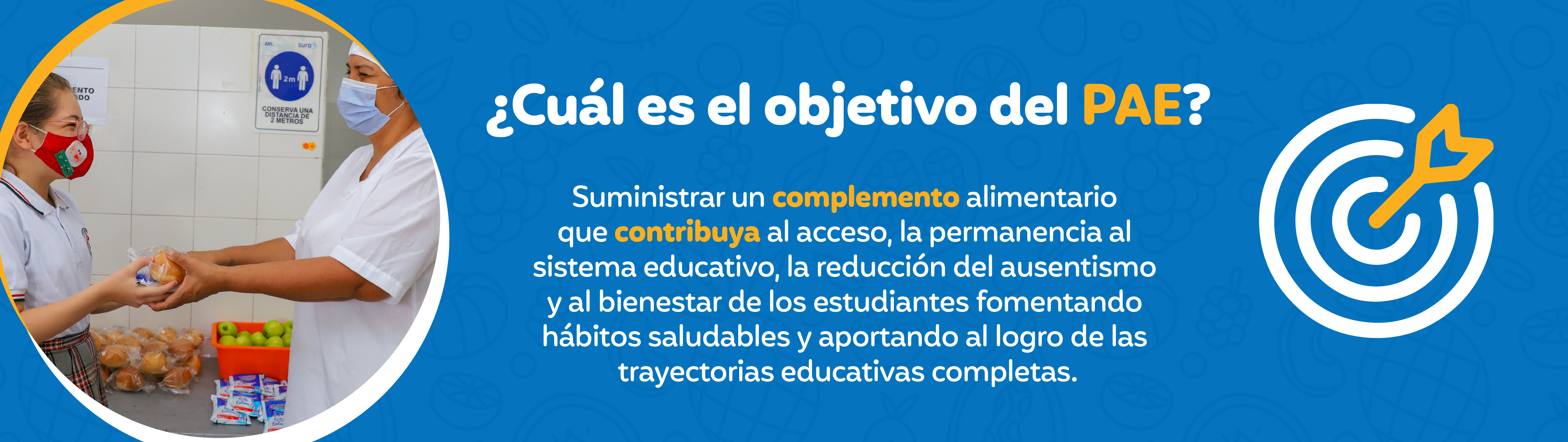 ¿Cual es el objetivo del PAE?