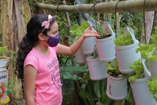 Huertas escolares y familiares: un proyecto sostenible que favorece la calidad de vida 
