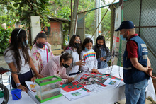Con acciones pedagógicas la Institución Educativa La Buitrera trabaja en la prevención del dengue