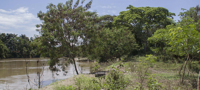 Por bajo nivel del caudal del  río Cauca se hace llamado a uso racional del agua