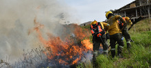“Todos estos incendios son provocados en forma dolosa”: Rodrigo Zamorano