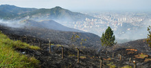 “Todos estos incendios son provocados en forma dolosa”: Rodrigo Zamorano