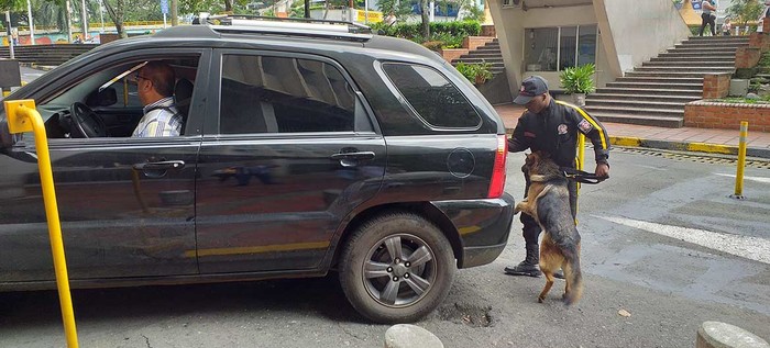 Perros antiexplosivos forman parte del equipo de seguridad del CAM
