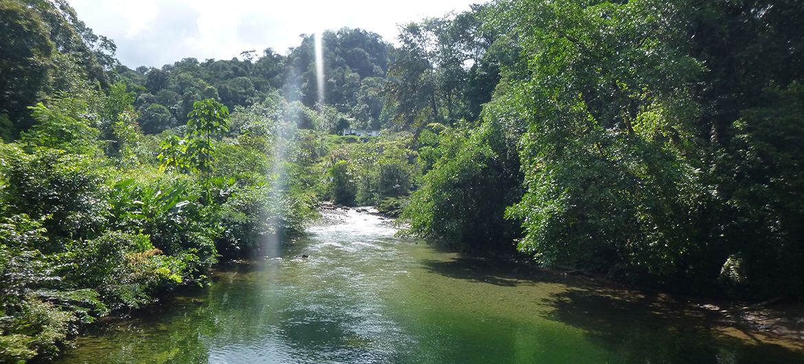 San Cipriano