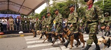 “Este 20 de julio conmemoramos la vida y nuestras Fuerzas Armadas”: alcalde Ospina 