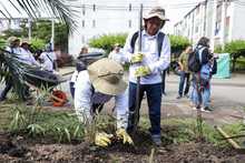Agencias de cooperación internacional resaltan valor social de huertas y jardines del jarillón
