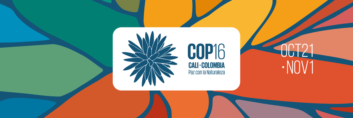 Cali ciudad elegida para la COP16
