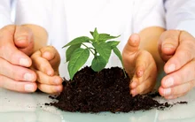 Día Nacional de la Educación Ambiental