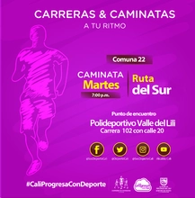 Caminata comuna 22 Ruta del Sur
