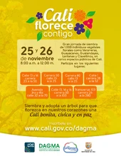 Cali Florece