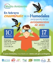 Avistamiento de aves