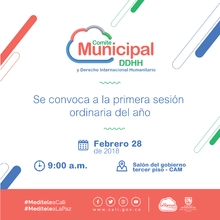 Sesión Comité Municipal Derechos Humanos 