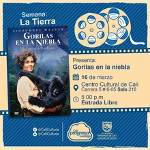 Semana La Tierra Pelicula:Gorilas en la niebla de Michael David Apted  Año:1988 Duración: 129 minutos  Estados Unidos - Sala 218 – Centro Cultural de Cali
