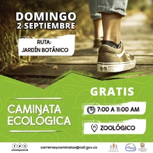 Caminata ecológica ruta Jardín botánico