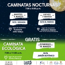 Caminata nocturna ruta El Ingenio