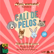 Cali de pelos