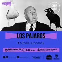 "Ciclo La noche de los muertos Pelicula: Los pajaros de Alfred Hitchcock Año: 1963 Duración: 120 minutos USA" Sala 218 – Centro Cultural de Cali