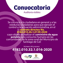 VEEDURIAS CIUDADANAS- CIUDADANA EN GENERAL