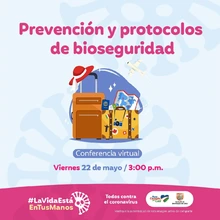 Prevención y protocolos de bideoseguridad