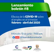Lanzamiento Boletín CIEC # 8