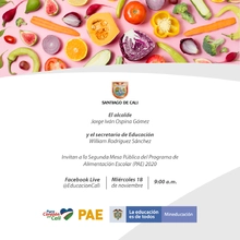 SEGUNDA MESA PÜBLICA DEL PROGRAMA DE ALIMENTACION ESCOLAR (PAE) 2020