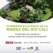 Primer avance del Proyecto Corredor Ecológico de la Ribera del río Cali