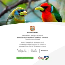 Primera Rendición de Cuentas 2021 